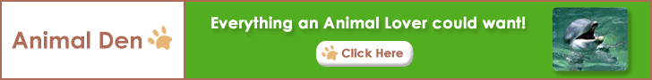 Animal Den - Gift Shop for Animal Lovers!