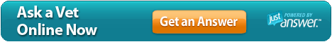 Ask a Vet Online. Get an Answer ASAP.