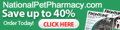 Save up to 40% 234x60