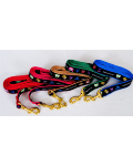 Dog Leash